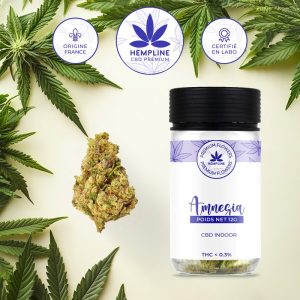 Amnésia Fleur de CBD (12g) - Hempline - Viking Vape
