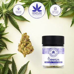 Amnésia Fleur de CBD (5g) - Hempline - Viking Vape