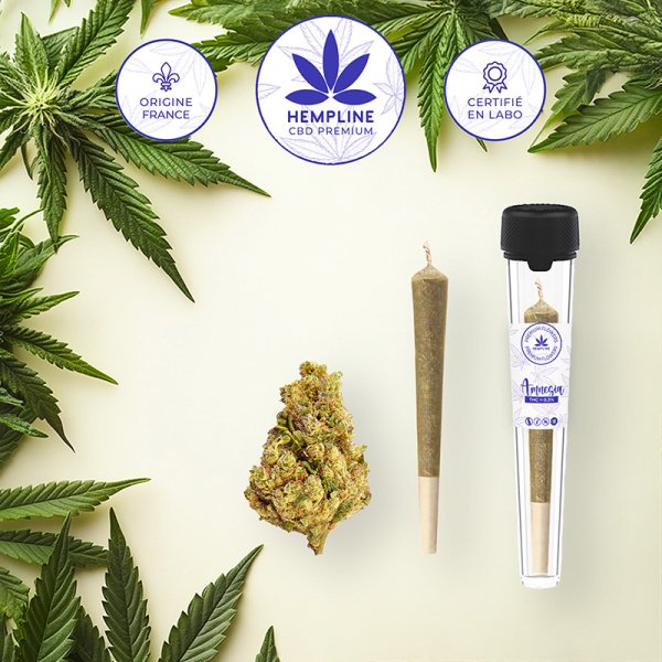 Amnesia Pre-roll (1g) - Hempline Amnesia Pre-roll (1g) - Hempline - Viking Vape