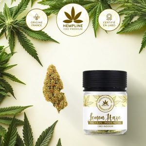 Lemon Haze Fleur de CBD (5g) - Hempline - Viking Vape