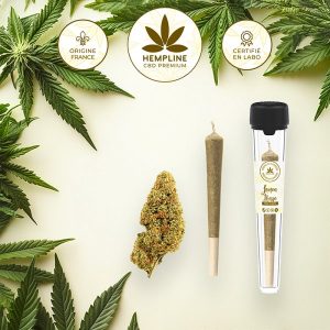 Lemon Haze Pre-roll (1g) - Hempline - Viking Vape
