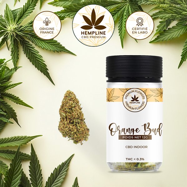 Orange Buds Fleur de CBD (12g) - Hempline - Viking Vape