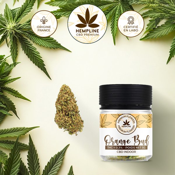 Orange Buds Fleur de CBD (5g) - Hempline Orange Buds Fleur de CBD (5g) - Hempline - Viking Vape
