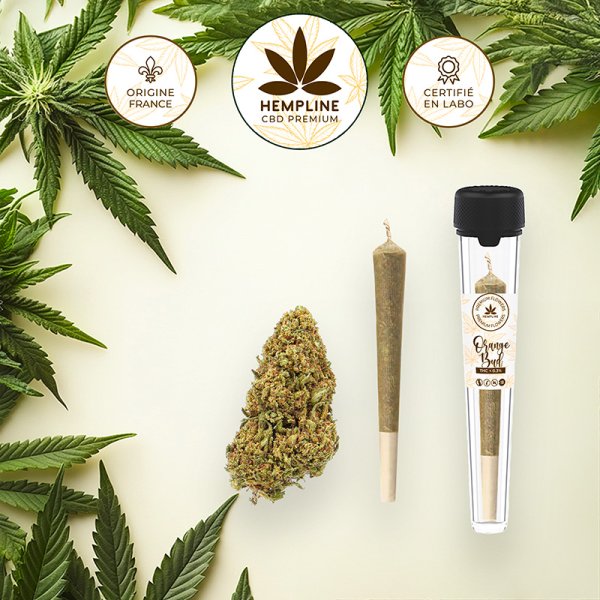 Orange Buds Pre-roll (1g) - Hempline Orange Buds Pre-roll (1g) - Hempline - Viking Vape